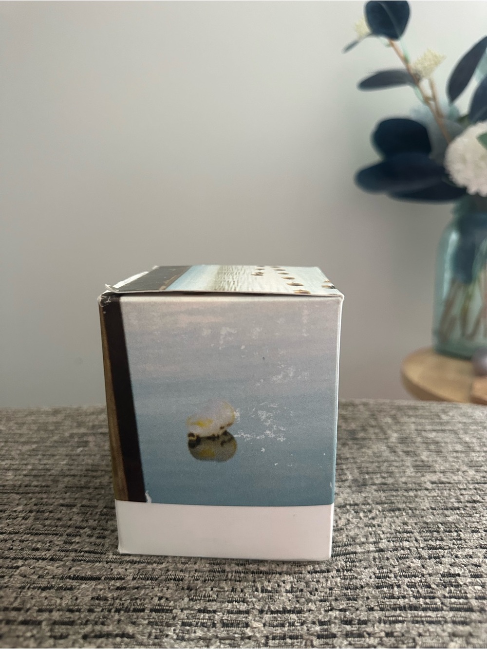 New in Box - Abbott The Cape Scented Candle - Mint Ginger Moss (White) - Picture 4 of 8